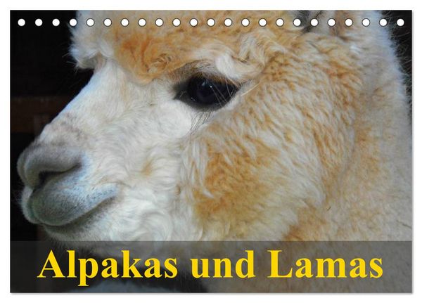 Produktbild: Alpakas und Lamas (Tischkalender 2026 DIN A5 quer), CALVENDO Monatskalender
