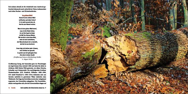 Produktbild: Mecklenburgs alte Buchenw&auml;lder