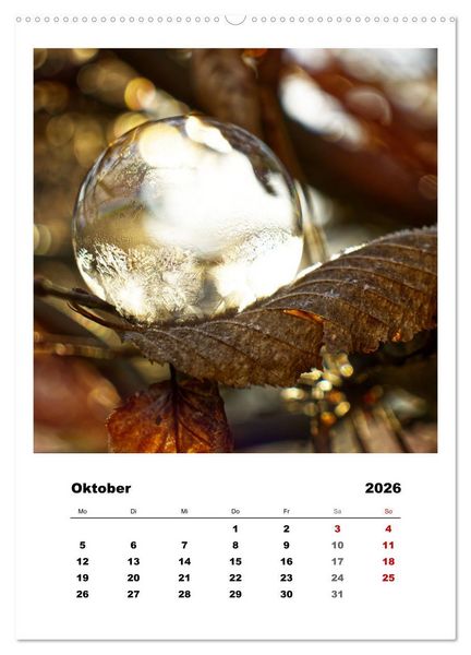 Produktbild: Frostige Seifenblasen (hochwertiger Premium Wandkalender 2026 DIN A2 hoch), Kunstdruck in Hochglanz