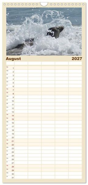 Produktbild: Familienplaner 2027 - Das Leben der Robben mit 5 Spalten (Wandkalender, 21 x 45 cm) CALVENDO