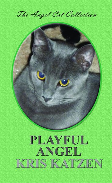Produktbild: Playful Angel (Angel Cat Collection, #11)