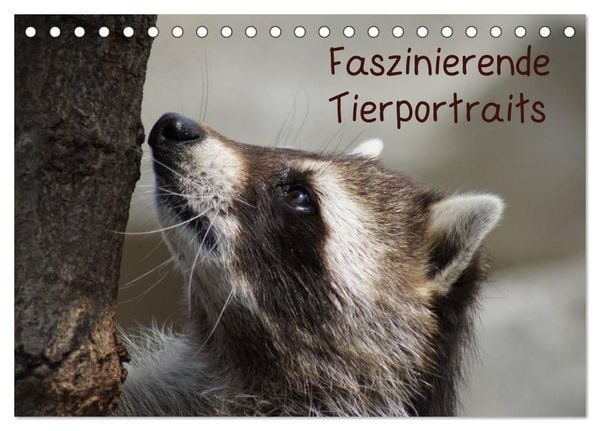 Produktbild: Faszinierende Tierportraits (Tischkalender 2026 DIN A5 quer), CALVENDO Monatskalender
