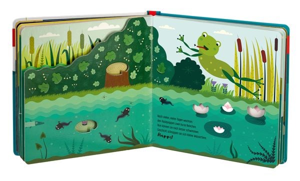 Produktbild: Edition Piepmatz: Wie kleine Tiere gro&szlig; werden: Der kleine Frosch