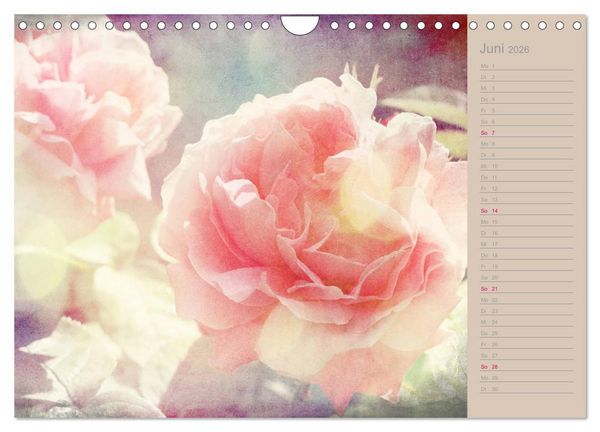 Produktbild: Romantische Rosen (Wandkalender 2026 DIN A4 quer), CALVENDO Monatskalender