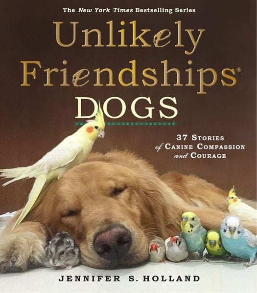 Produktbild: Unlikely Friendships: Dogs