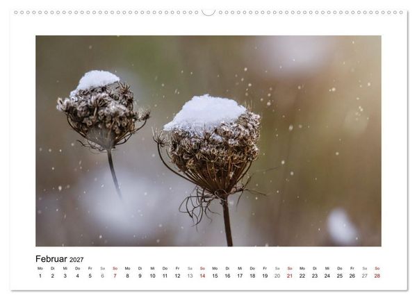 Produktbild: Zauber verg&auml;nglicher Bl&uuml;ten (hochwertiger Premium Wandkalender 2027 DIN A2 quer), Kunstdruck in Hochglanz