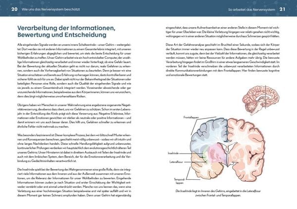 Produktbild: Neurozentriertes Yoga