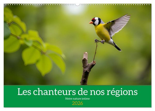 Les chanteurs de nos régions - Notre nature intime (Calendrier mural 2026 DIN A2 vertical), CALVENDO calendrier mensuel