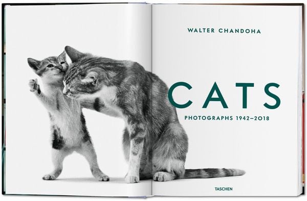 Produktbild: Walter Chandoha. Cats. Photographs 1942&ndash;2018