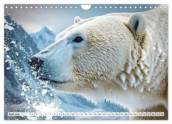 Produktbild: Im magischen Land der Eisb&auml;ren (Wandkalender 2026 DIN A4 quer), CALVENDO Monatskalender