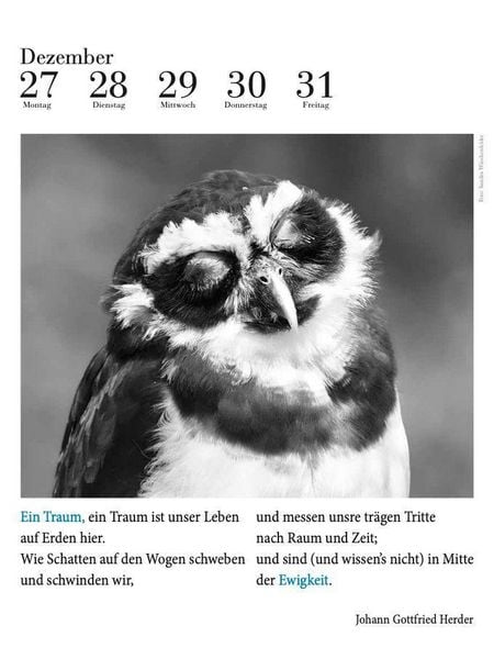 Produktbild: Der literarische Eulenkalender 2027