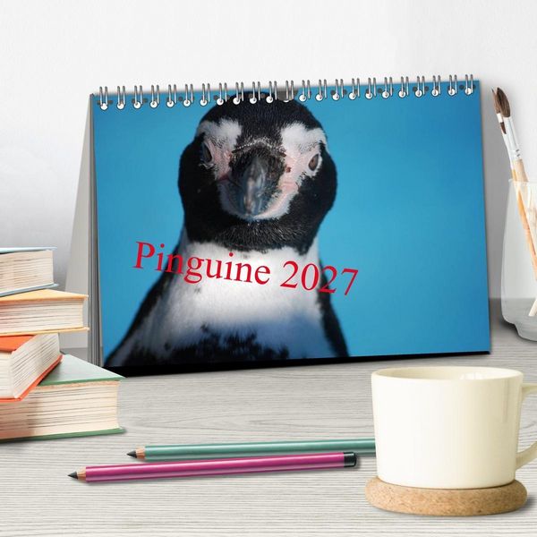 Produktbild: Pinguine 2027 (Tischkalender 2027 DIN A5 quer), CALVENDO Monatskalender