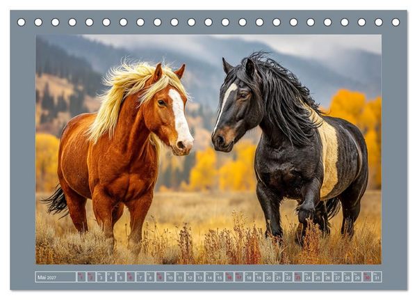 Produktbild: Mustangs. Pferde in ihrer wildesten Sch&ouml;nheit (Tischkalender 2027 DIN A5 quer), CALVENDO Monatskalender