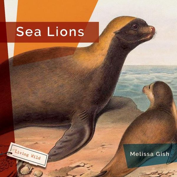 Produktbild: Sea Lions