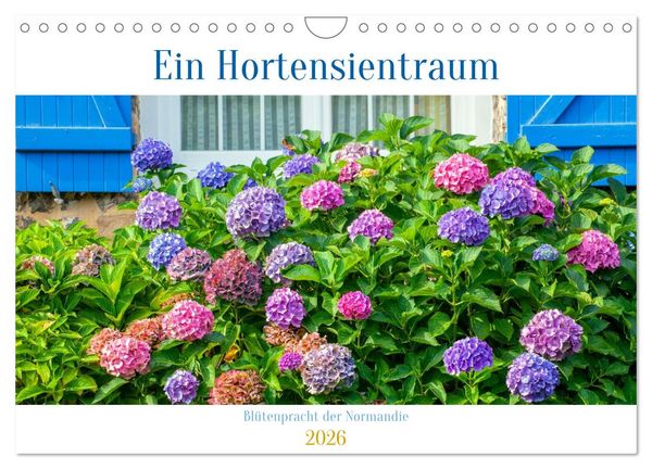 Ein Hortensientraum (Wandkalender 2026 DIN A4 quer), CALVENDO Monatskalender