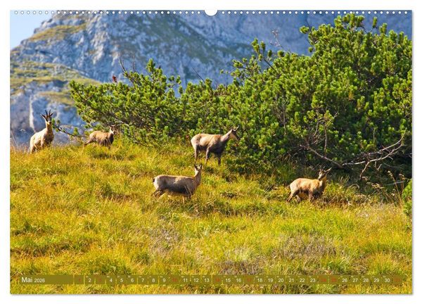 Produktbild: Waidmannsheil und Waidmannsdank (hochwertiger Premium Wandkalender 2026 DIN A2 quer), Kunstdruck in Hochglanz