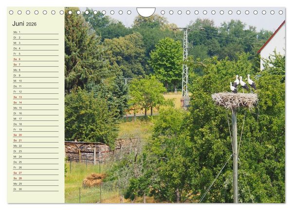 Produktbild: L&auml;ndliche Idylle zwischen Erzgebirge und Muldental (Wandkalender 2026 DIN A4 quer), CALVENDO Monatskalender
