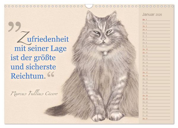 Produktbild: Von Katzen lernen (Wandkalender 2026 DIN A3 quer), CALVENDO Monatskalender