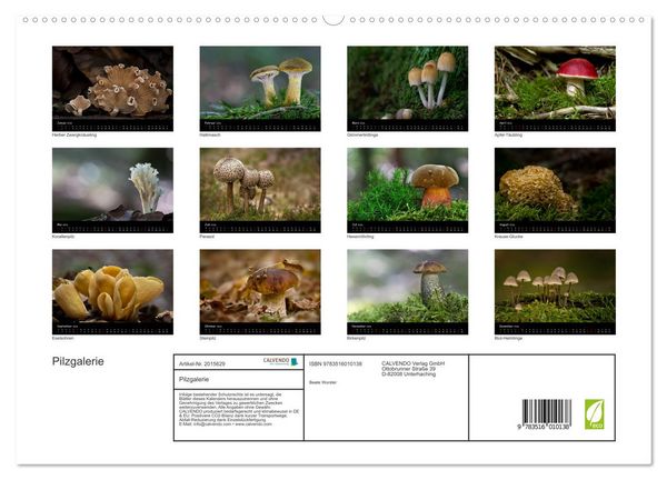 Produktbild: Pilzgalerie (hochwertiger Premium Wandkalender 2026 DIN A2 quer), Kunstdruck in Hochglanz