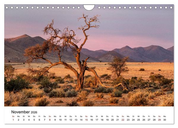 Produktbild: B&auml;ume in Namibias Landschaften (Wandkalender 2026 DIN A4 quer), CALVENDO Monatskalender