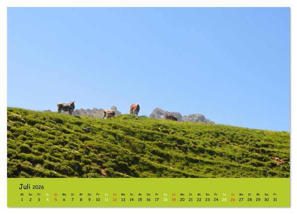 Produktbild: K&uuml;he - Sch&ouml;nheiten der Alpen (Wandkalender 2026 DIN A3 quer), CALVENDO Monatskalender