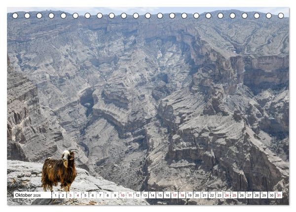 Produktbild: Oman - Perle des Orients (Tischkalender 2026 DIN A5 quer), CALVENDO Monatskalender