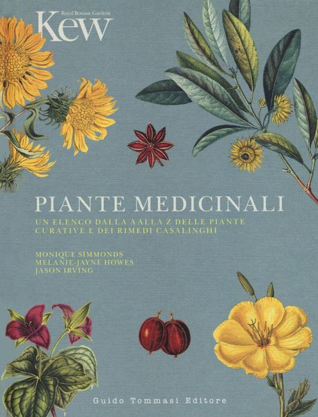 Produktbild: Piante medicinali. Un elenco dalla A alla Z delle piante curative e dei rimedi casalinghi