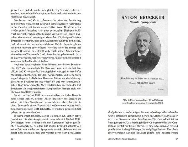 Produktbild: Die Unvollendeten