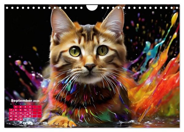 Produktbild: Splash - Katzen im Farbrausch (Wandkalender 2026 DIN A4 quer), CALVENDO Monatskalender