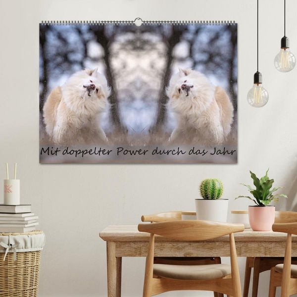Produktbild: Mit doppelter Power durch das Jahr (Wandkalender 2026 DIN A2 quer), CALVENDO Monatskalender