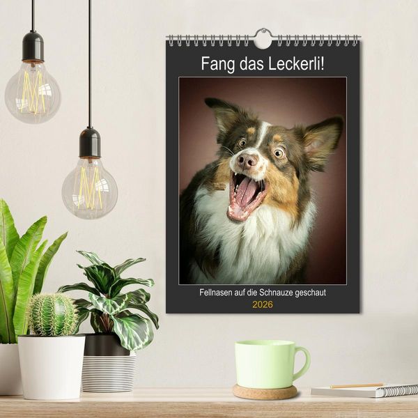 Produktbild: Fang das Leckerli (Wandkalender 2026 DIN A4 hoch), CALVENDO Monatskalender