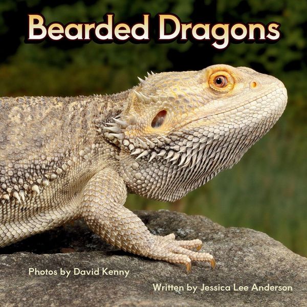 Produktbild: Bearded Dragons