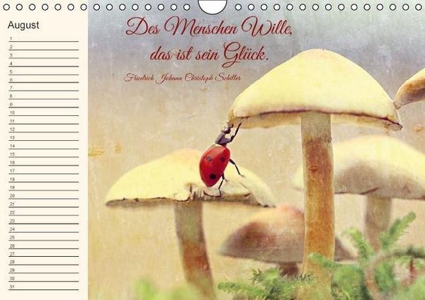 Produktbild: Spruchreifer Geburtstagskalender (Wandkalender immerw&auml;hrend DIN A4 quer)