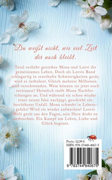 Produktbild: Herzturbulenzen