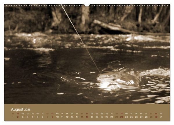 Produktbild: Fliegenfischen (Wandkalender 2026 DIN A2 quer), CALVENDO Monatskalender