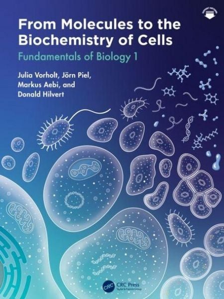 From Molecules to the Biochemistry of Cells, Taschenbuch von Donald Hilvert , Jorn Piel , Julia A. Vorholt , Markus Aebi, Taylor and Francis,