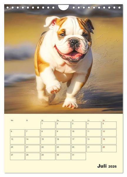 Produktbild: English Bulldogs. Fr&ouml;hliche Dickk&ouml;pfe mit Charakter (Wandkalender 2026 DIN A4 hoch), CALVENDO Monatskalender