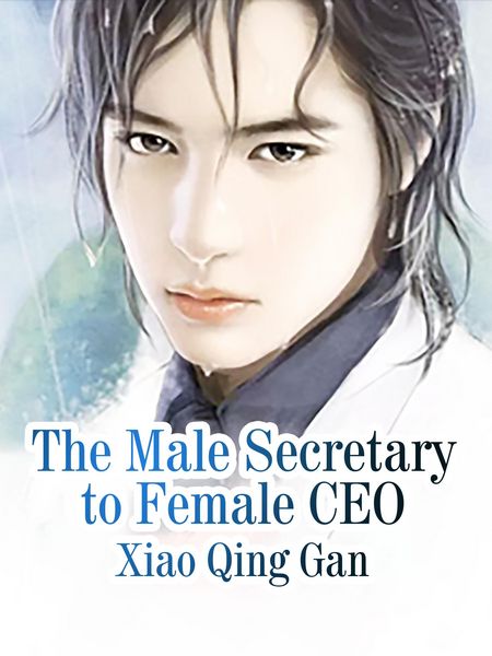 Produktbild: Male Secretary to Female CEO