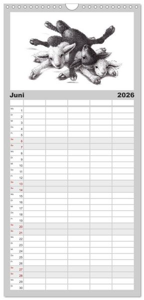 Produktbild: Familienplaner 2026 - TIERONISCH mit 5 Spalten (Wandkalender, 21 x 45 cm) CALVENDO