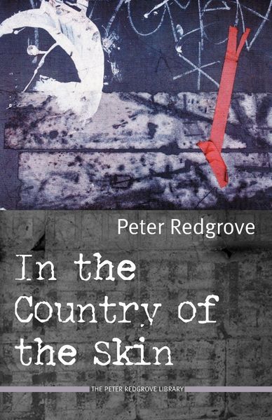 Produktbild: In the Country of the Skin