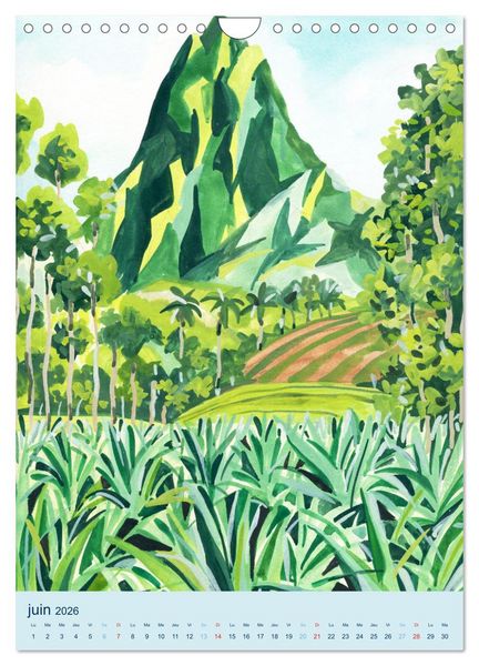 Produktbild: MERVEILLEUSE MOOR&Eacute;A (Calendrier mural 2026 DIN A4 horizontal), CALVENDO calendrier mensuel