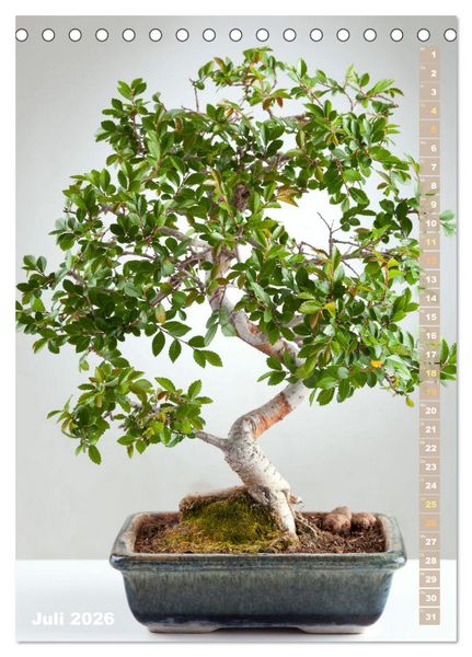 Produktbild: Bonsai: Gartenkunst im Kleinen (Tischkalender 2026 DIN A5 hoch), CALVENDO Monatskalender