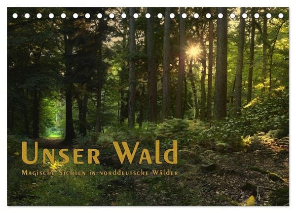 Produktbild: Unser Wald - Magische Sichten in norddeutsche W&auml;lder / Geburtstagskalender (Tischkalender 2026 DIN A5 quer), CALVENDO Monatskalender
