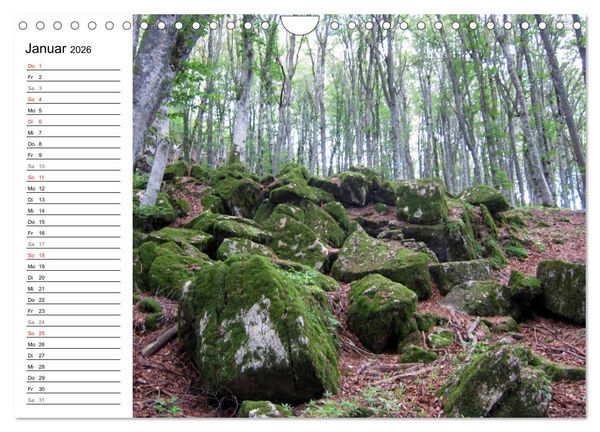 Produktbild: Camino di Assisi - Franziskusweg (Wandkalender 2026 DIN A4 quer), CALVENDO Monatskalender