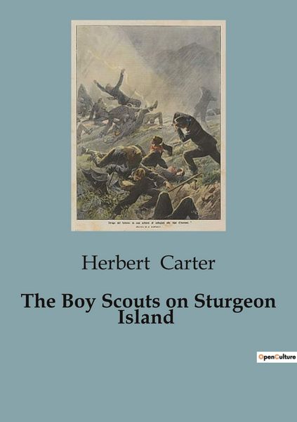 Produktbild: The Boy Scouts on Sturgeon Island