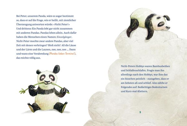 Produktbild: Panda-Pand