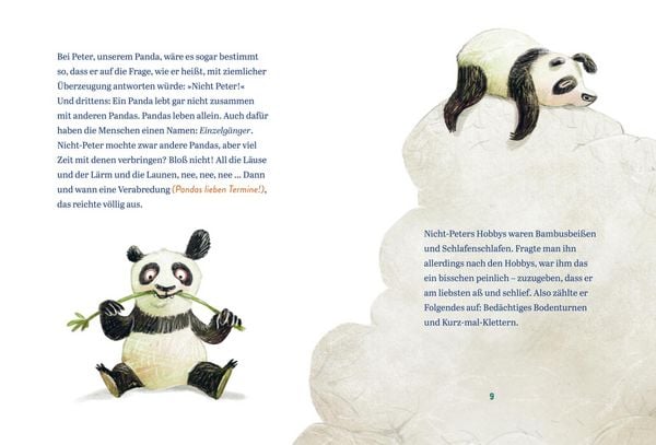 Produktbild: Panda-Pand