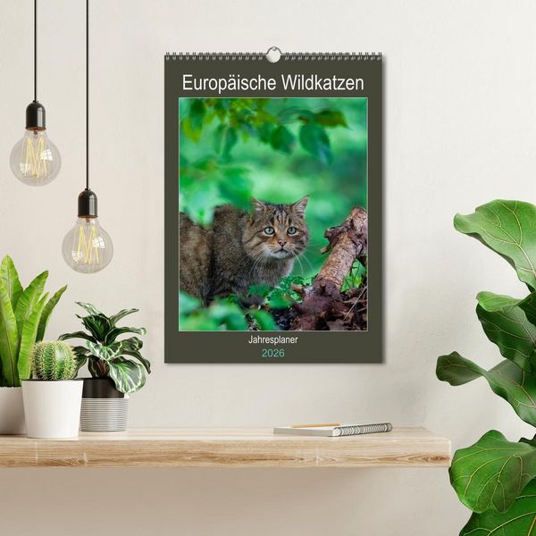 Produktbild: Europ&auml;ische Wildkatzen - Jahresplaner (Wandkalender 2026 DIN A3 hoch), CALVENDO Monatskalender