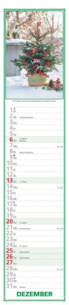 Produktbild: Paules Gartenplaner 2026 - Streifenplaner - Wandplaner - Küchen-Kalender - 11,3x49,5