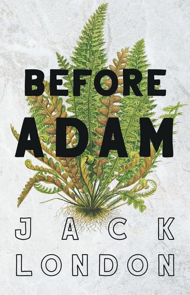 Produktbild: Before Adam